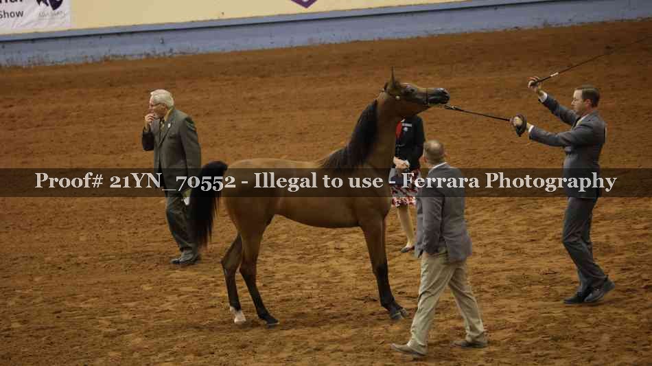 Proof 21YN_70552