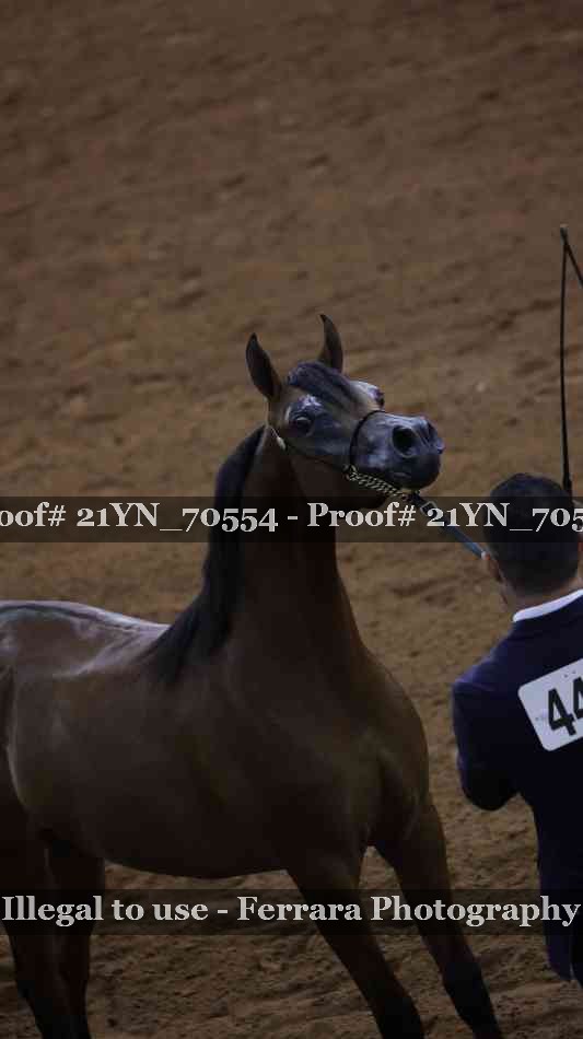 Proof 21YN_70554