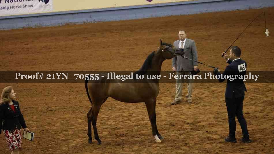 Proof 21YN_70555