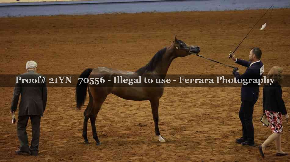 Proof 21YN_70556