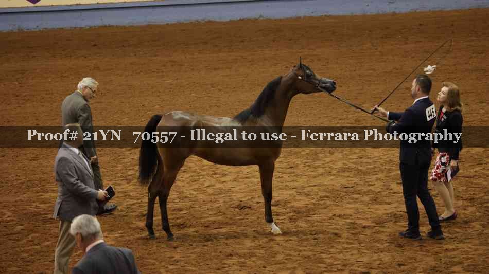 Proof 21YN_70557