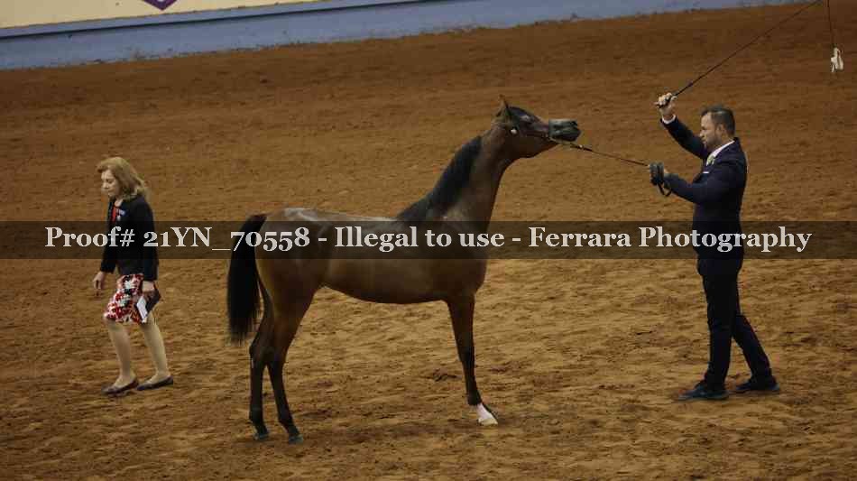 Proof 21YN_70558