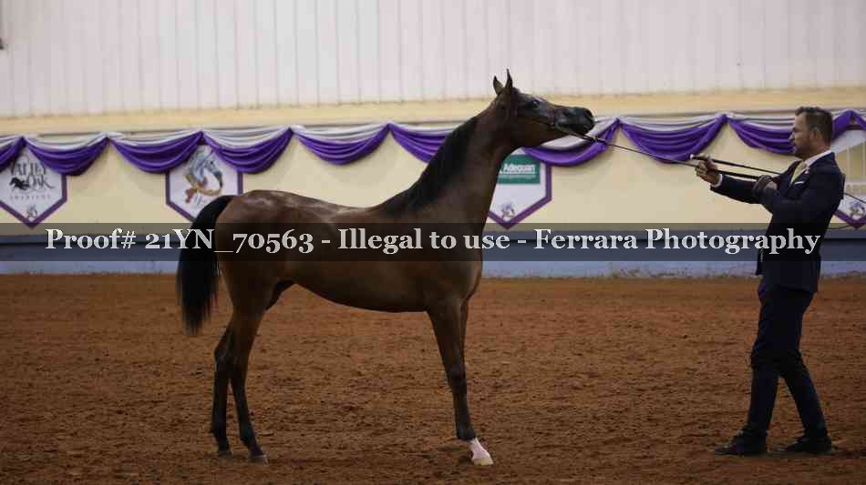 Proof 21YN_70563