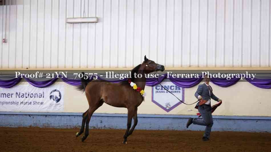 Proof 21YN_70575