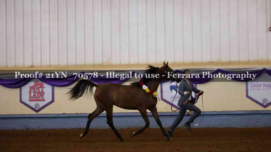 Proof 21YN_70578