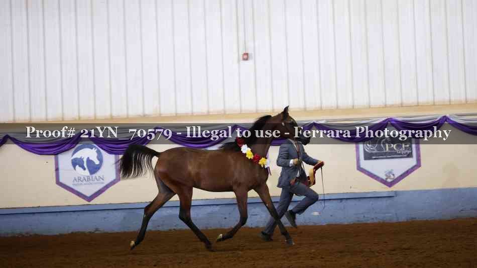 Proof 21YN_70579
