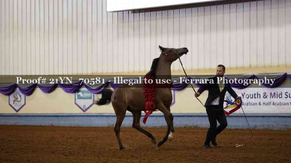 Proof 21YN_70581