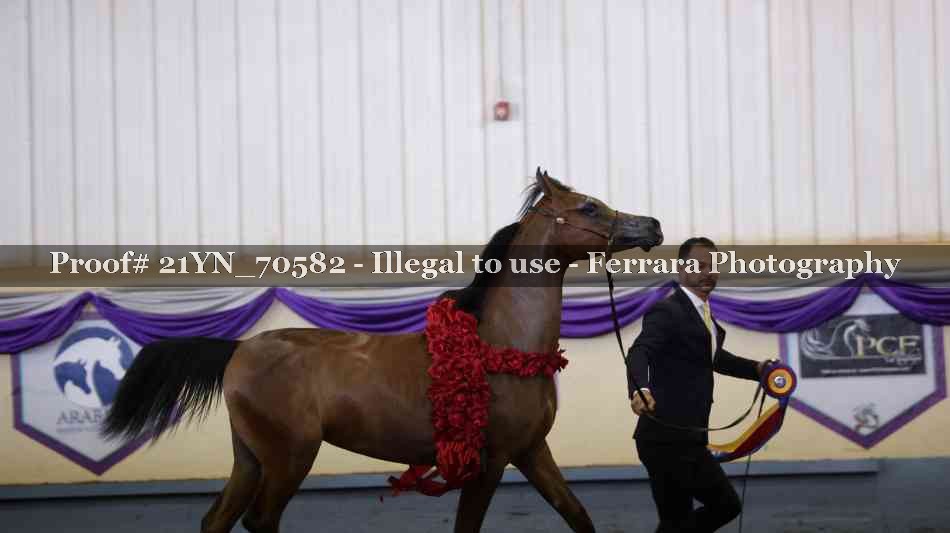 Proof 21YN_70582