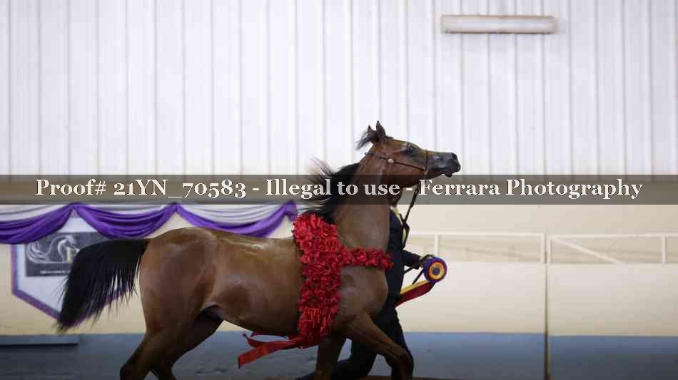 Proof 21YN_70583