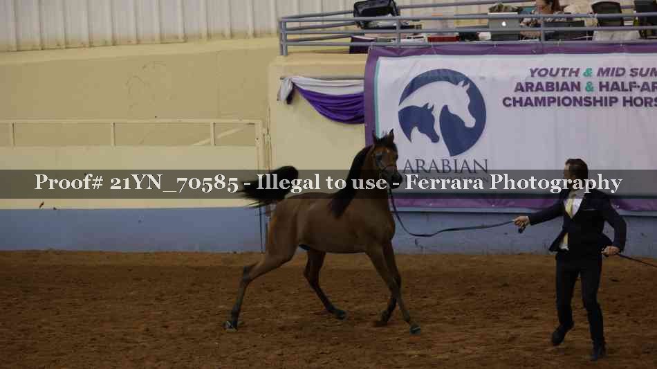Proof 21YN_70585