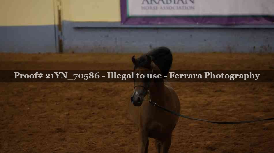 Proof 21YN_70586