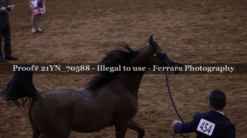Proof 21YN_70588