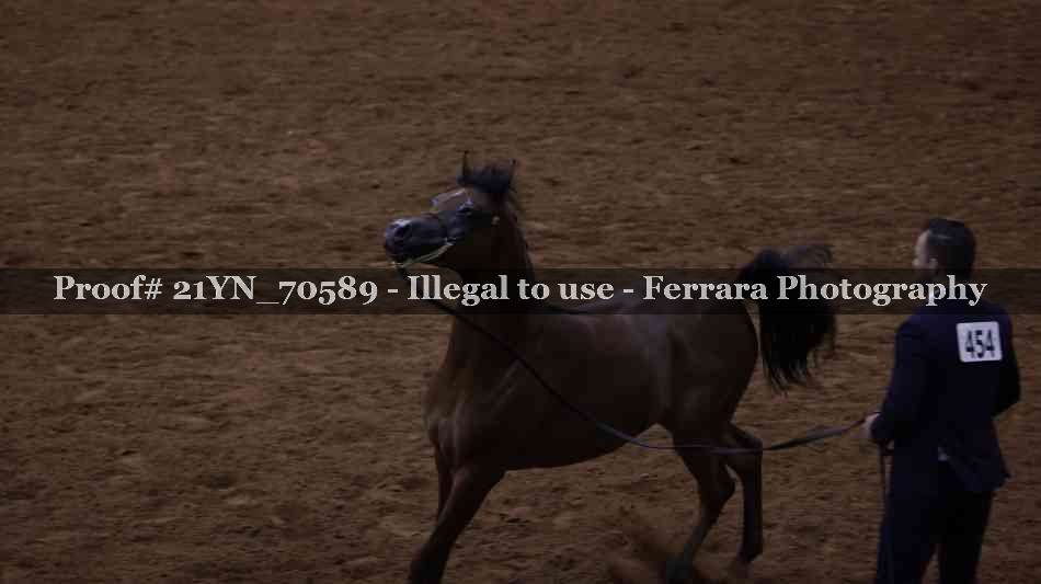 Proof 21YN_70589
