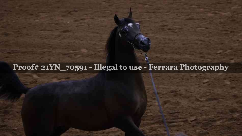Proof 21YN_70591