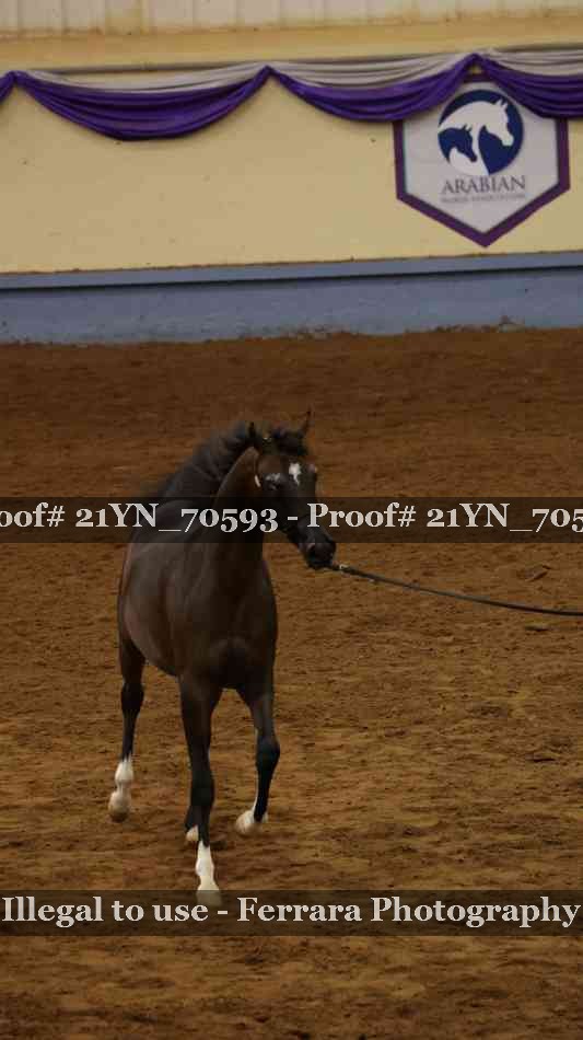 Proof 21YN_70593