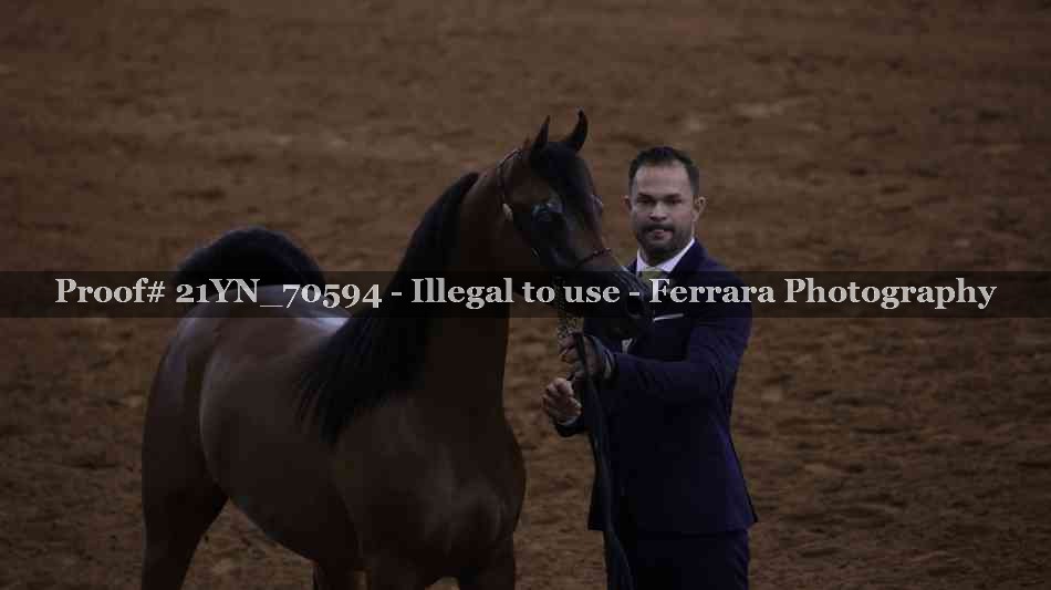 Proof 21YN_70594