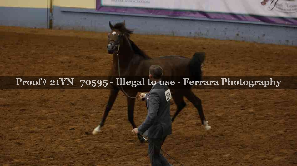 Proof 21YN_70595