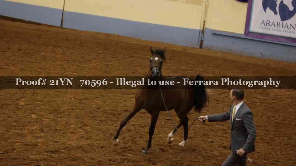 Proof 21YN_70596