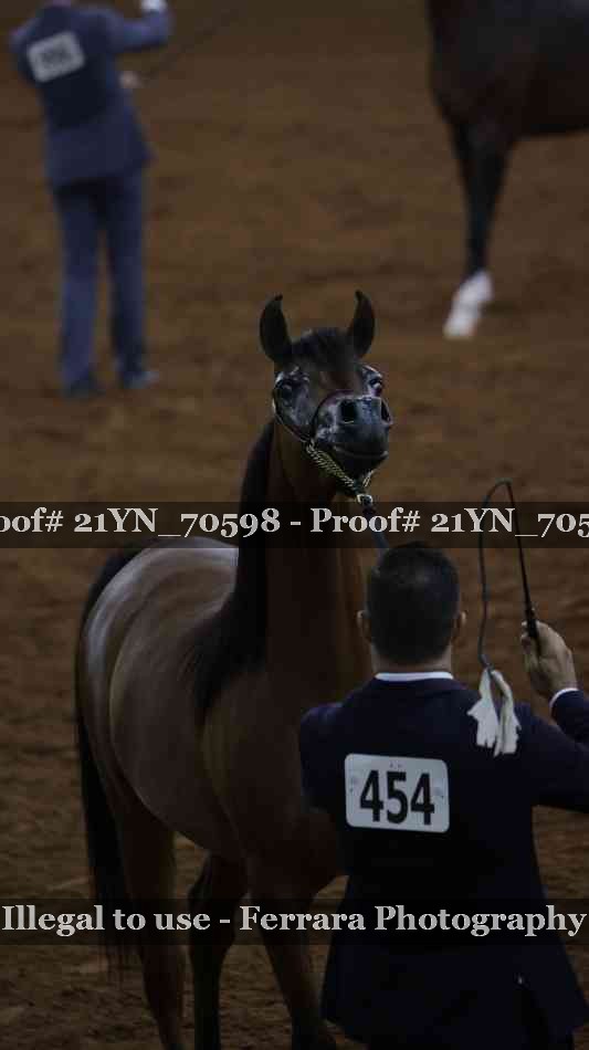 Proof 21YN_70598