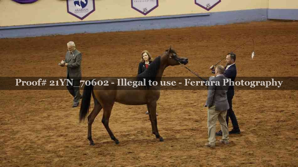 Proof 21YN_70602