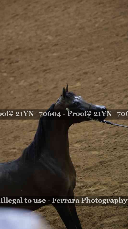 Proof 21YN_70604