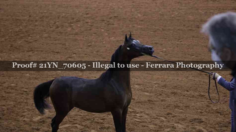 Proof 21YN_70605