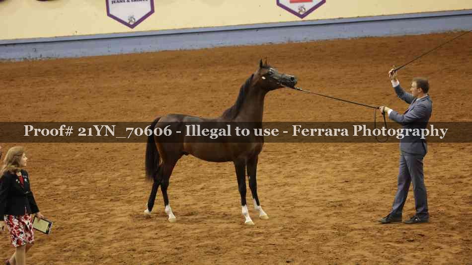 Proof 21YN_70606