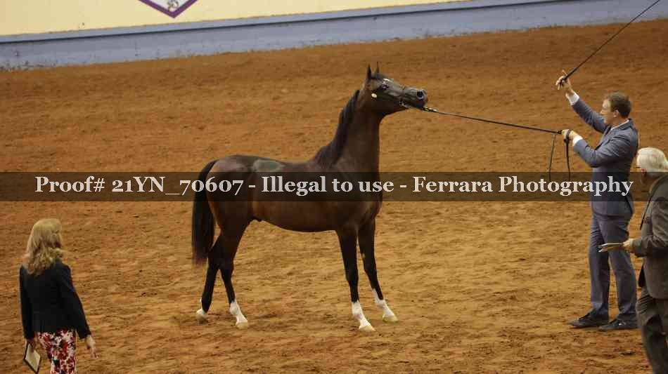 Proof 21YN_70607