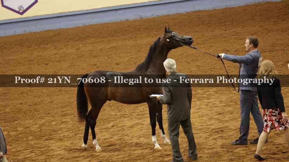 Proof 21YN_70608