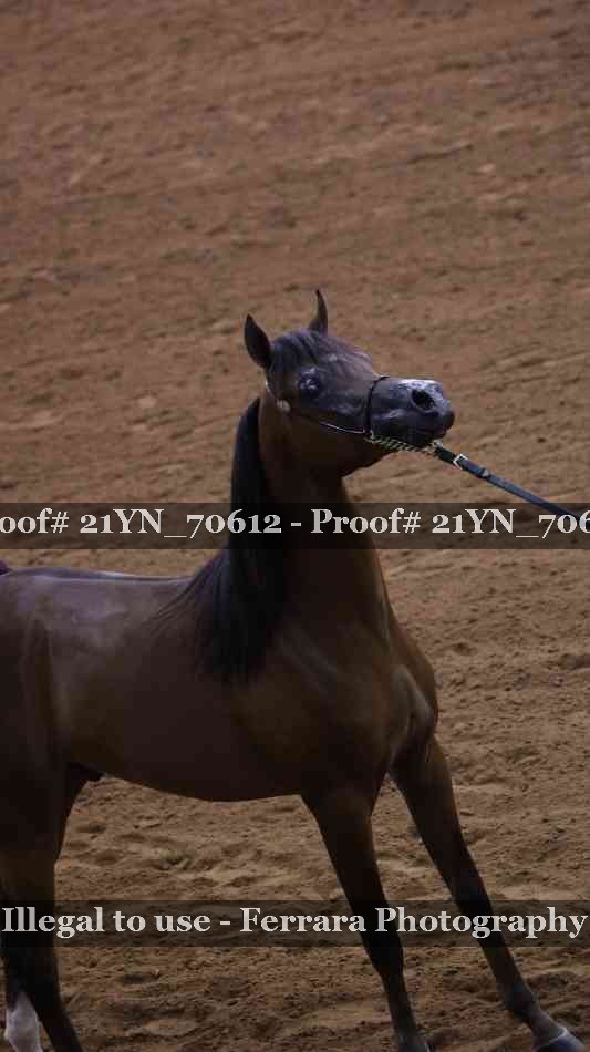 Proof 21YN_70612