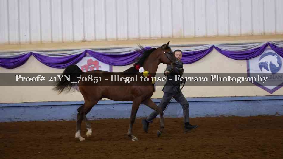 Proof 21YN_70851