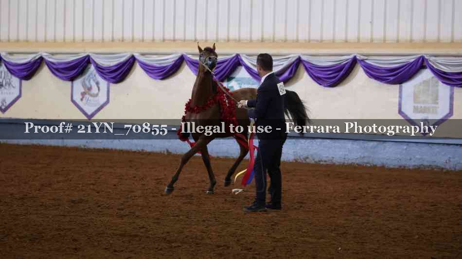 Proof 21YN_70855