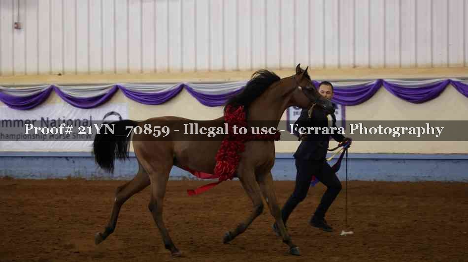 Proof 21YN_70859