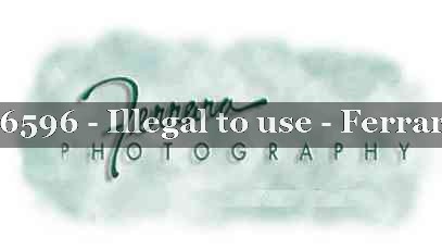 Proof 21YN_16596