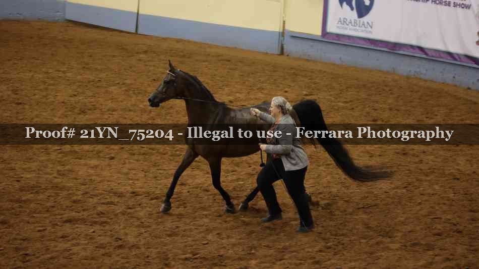 Proof 21YN_75204