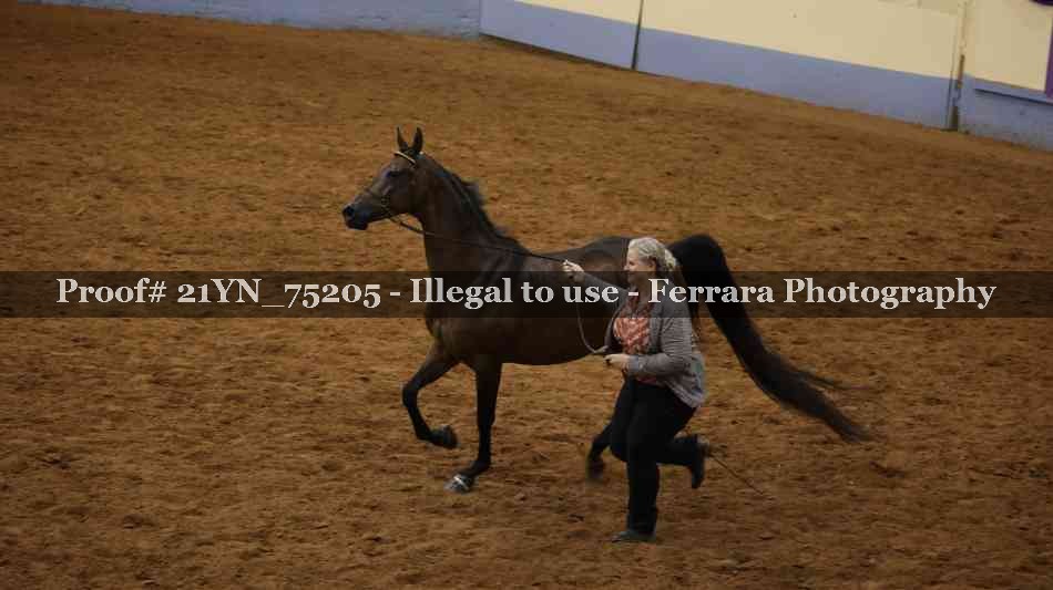 Proof 21YN_75205