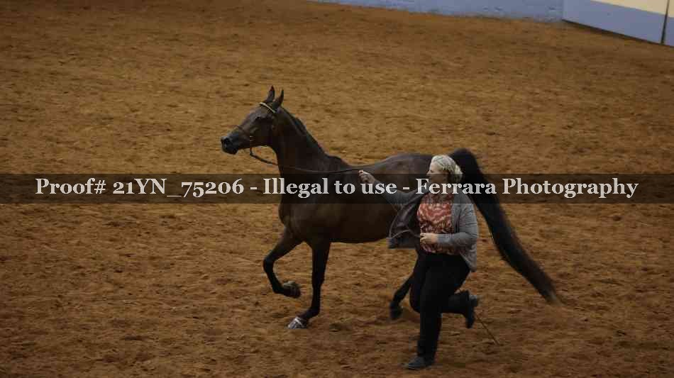 Proof 21YN_75206