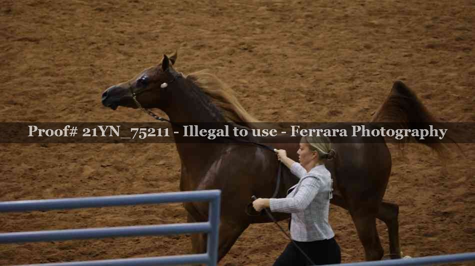 Proof 21YN_75211