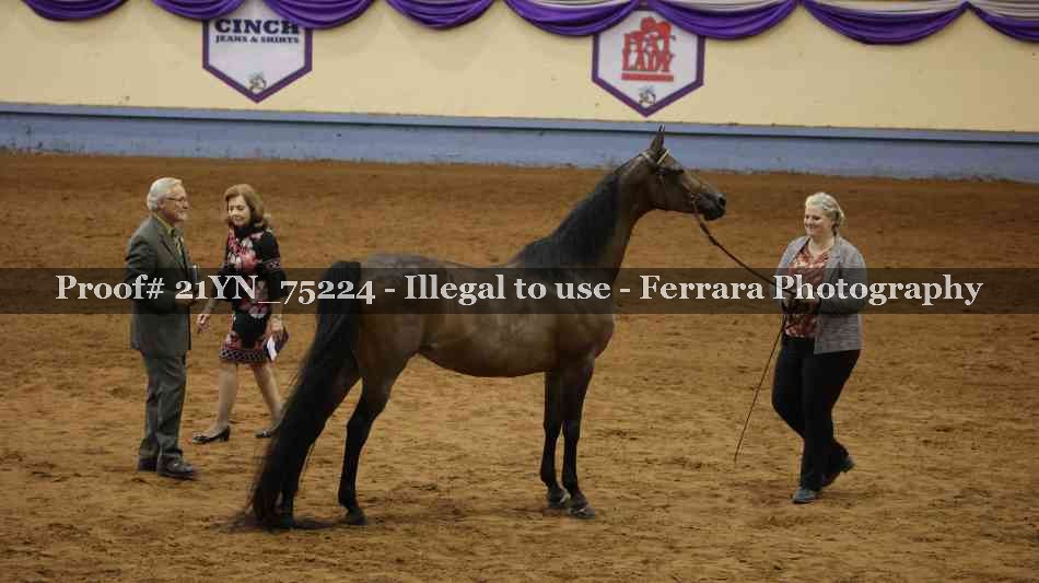 Proof 21YN_75224
