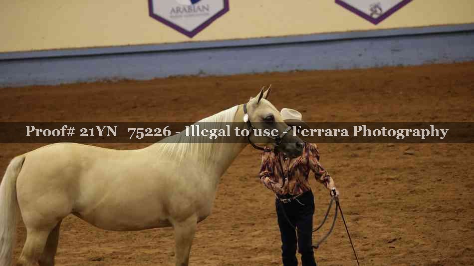 Proof 21YN_75226