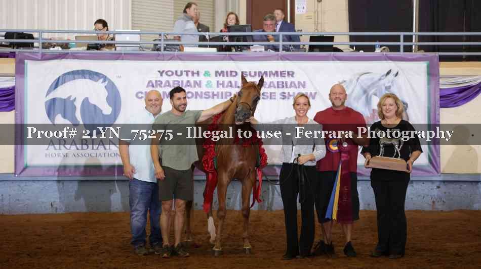 Proof 21YN_75275