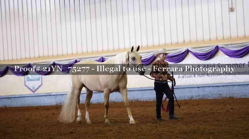 Proof 21YN_75277