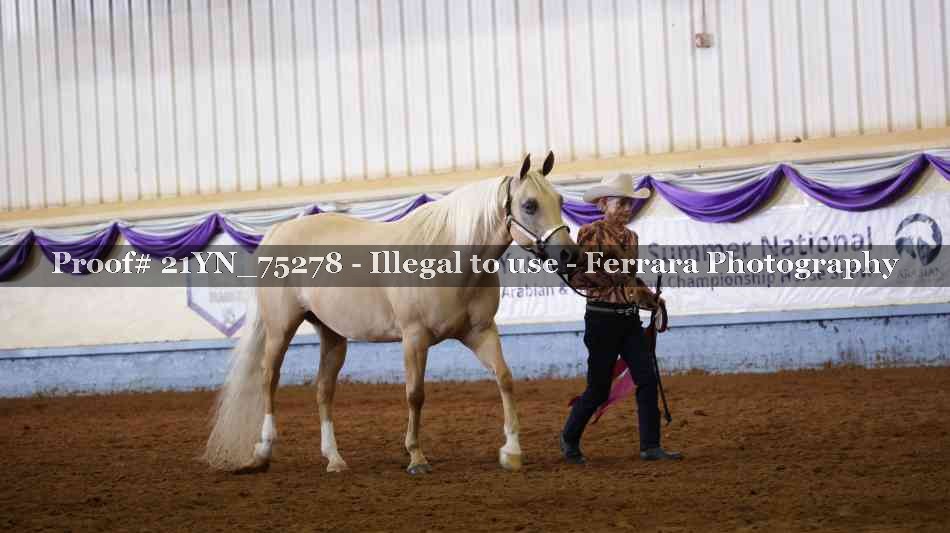 Proof 21YN_75278
