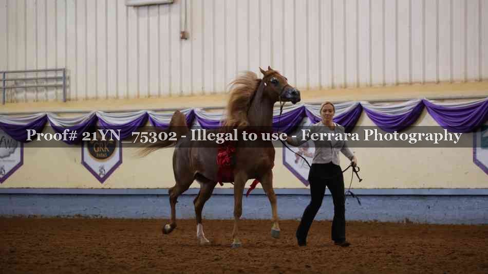 Proof 21YN_75302