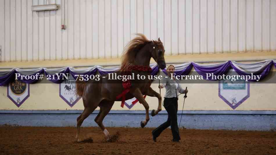 Proof 21YN_75303