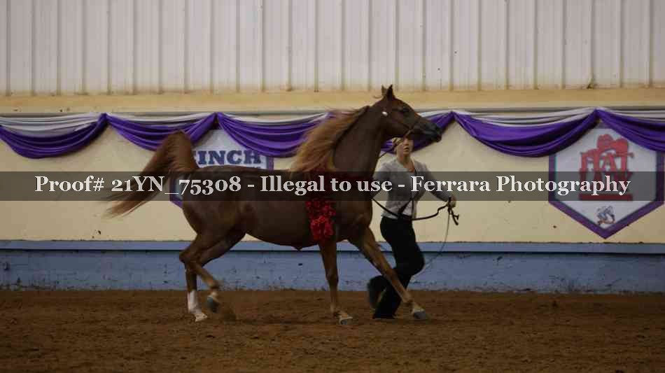 Proof 21YN_75308