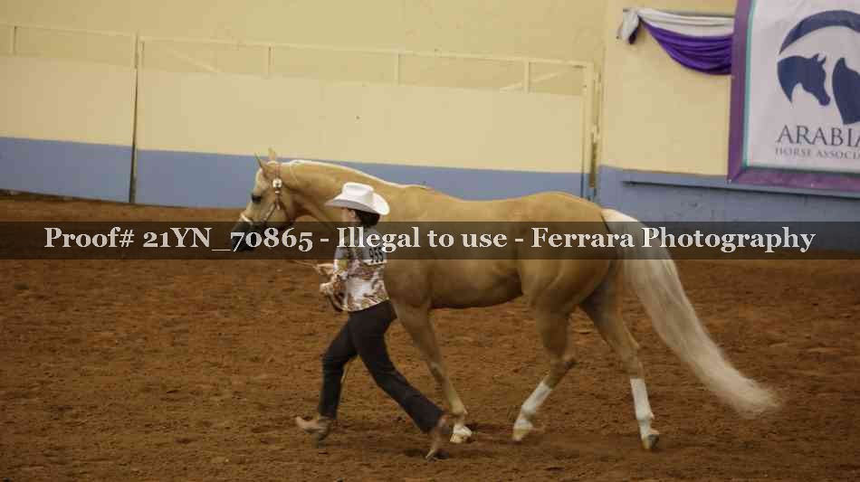 Proof 21YN_70865