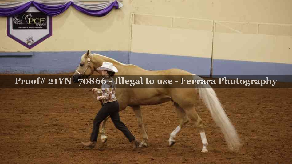 Proof 21YN_70866