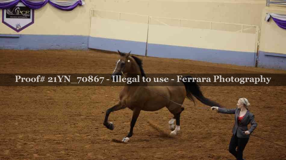 Proof 21YN_70867