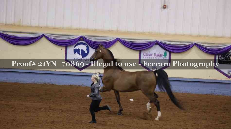 Proof 21YN_70869